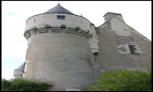 Zdjecie FRANCJA / brak / Montresor / Widok żaby