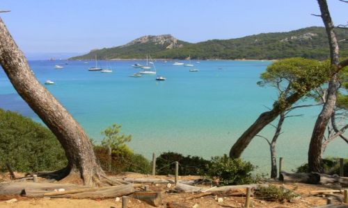 Zdjcie FRANCJA / Lazurowe Wybrzeze /  Wyspa Porquerolles / Porquerolles