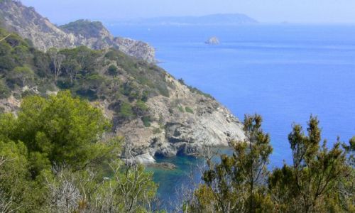 Zdjęcie FRANCJA / brak / Wyspa Porquerolles / Zatoka