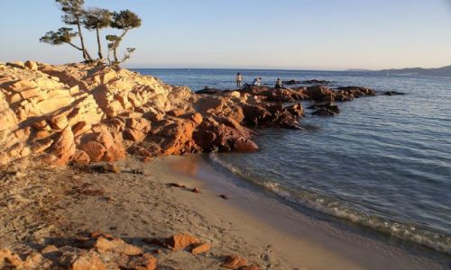 Zdjecie FRANCJA / Korsyka / Palombaggia Plage / Nadchodzi wieczr