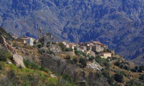 Zdjecie FRANCJA / Korsyka/Balagne / Montemagiore / Na grzbiecie