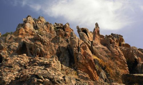 Zdjęcie FRANCJA / Korsyka / Calanche de Piana / Kogutki
