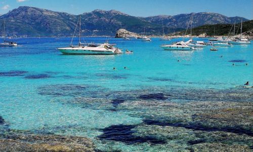 Zdjęcie FRANCJA / Korsyka / Agriates/Saleccia / W toni