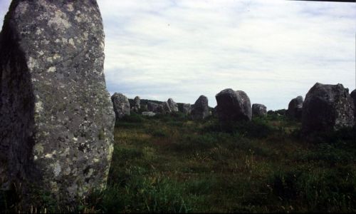 Zdjęcie FRANCJA / Bretania / Carnac / Carnac