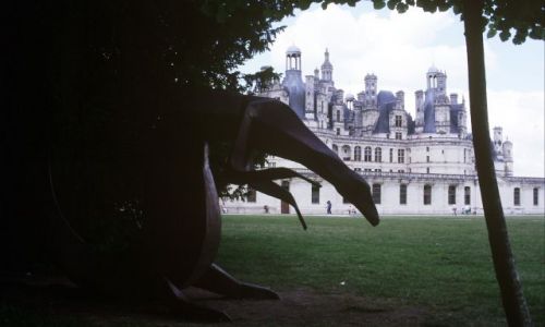 Zdjęcie FRANCJA / zamki nad Loarą / Chambord / Chambord