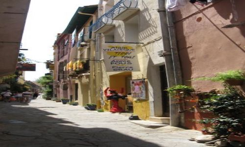 Zdjecie FRANCJA / Langwedocja / Collioure / Francuskie zauki