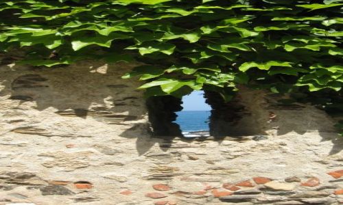 Zdjecie FRANCJA / Langwedocja / Collioure / ....widok na morze...