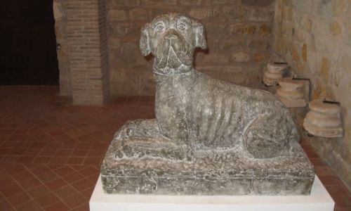 Zdjecie FRANCJA / Langwedocja / Carcassonne(kamienny mieszkaniec zamku) / Piesek:)