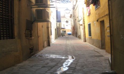 Zdjecie FRANCJA / Langwedocja / Perpignan-dawna stolica krlestwa Majorki / Zauki Francji