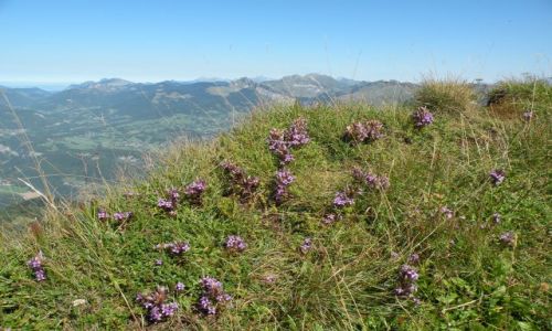 Zdjcie FRANCJA / Savoie / Mle / Moje wedrowanie