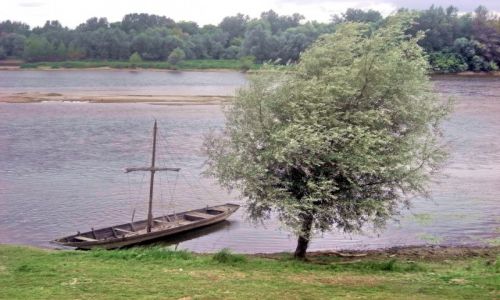 Zdjecie FRANCJA / Burgundia / Loara / Poranek nad Loarą
