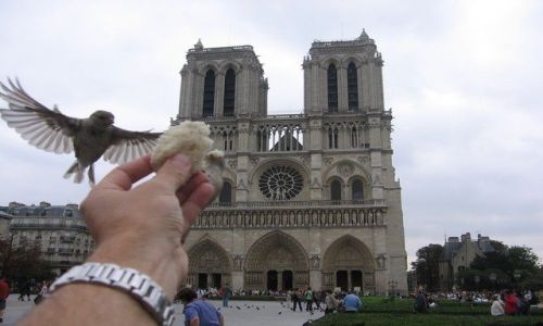 Zdjecie FRANCJA / Francja / Paryz / Katedra Notre-Dame z lotu ptaka ;)