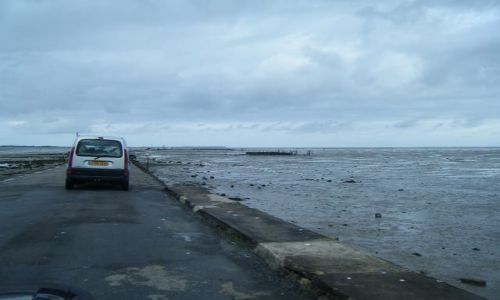 Zdjęcie FRANCJA / -Wandea / Noirmoutier / droga przez ocean