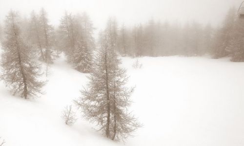 Zdjęcie FRANCJA / Alps / Les Arcs / Mgła na stoku