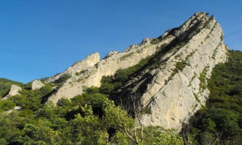 Zdjcie FRANCJA / VERDON / Alpy / samotna skaa