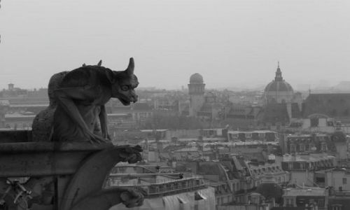 Zdjecie FRANCJA / Pary / Widok z katedry Notre Dame / Chimera :) jedna z wielu...