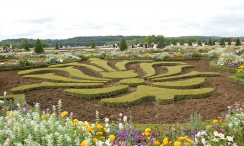 Zdjęcie FRANCJA / Île-de-France / Wersal / Konkurs Ogrody Wersalskie