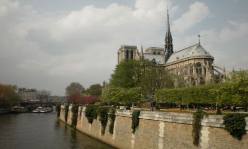 Zdjęcie FRANCJA / Île-de-France / Paryż / Notre Dame