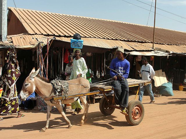 Zdjęcia: okolica Badżul, transport lokalny, GAMBIA Zdjęcia: okolica Badżul, transport lokalny, GAMBIA