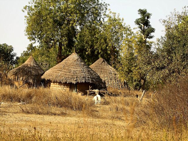 Zdjęcia: Gambia, wioska w Gambii, GAMBIA Zdjęcia: Gambia, wioska w Gambii, GAMBIA