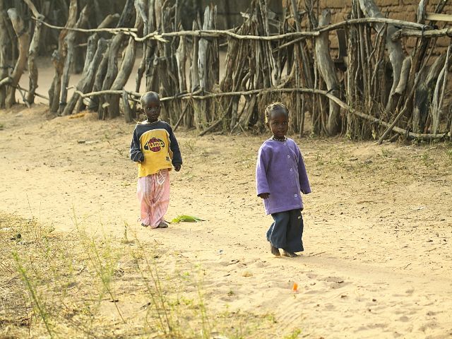 Zdjęcia: Gambia, Czyż nie są urocze?, GAMBIA Zdjęcia: Gambia, Czyż nie są urocze?, GAMBIA