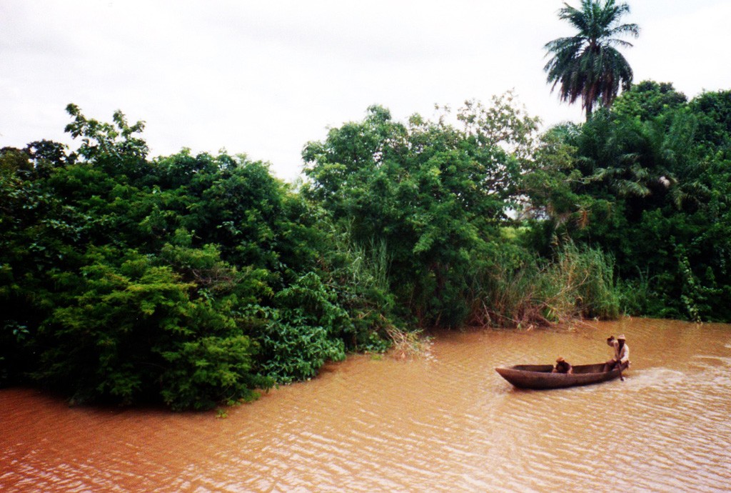 Zdjęcia: , , Gambia River, GAMBIA Zdjęcia: , , Gambia River, GAMBIA