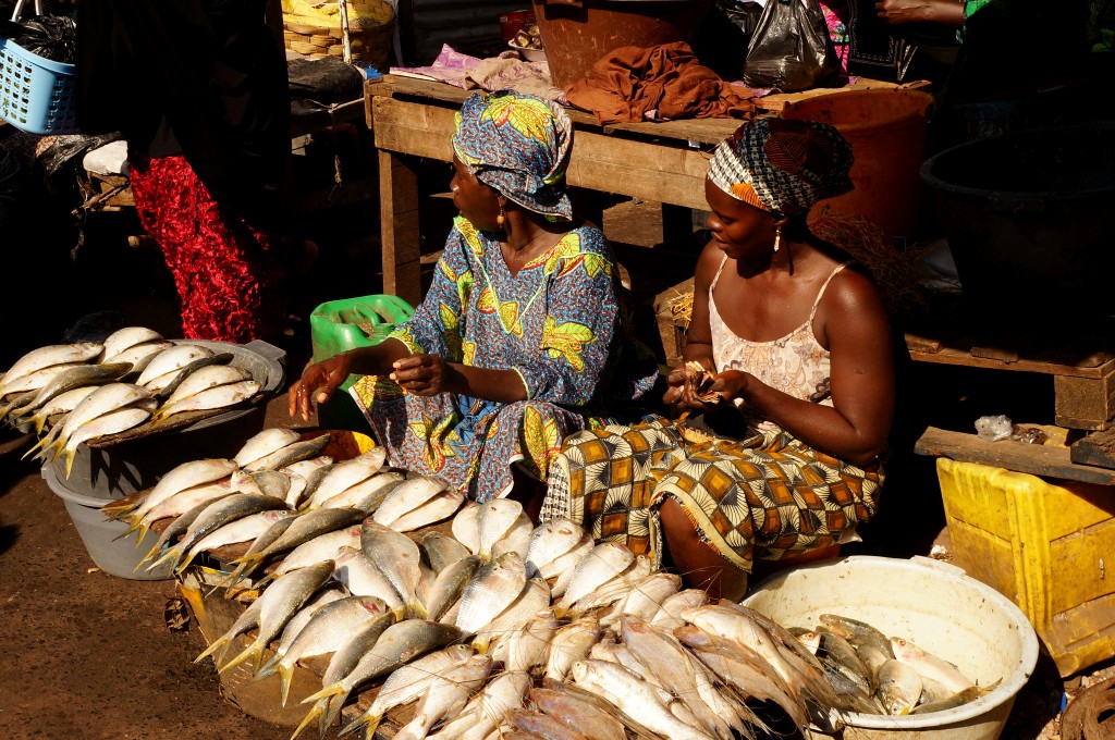 Zdjęcia: targ, Serrekunda, Ryby, świeże ryby!, GAMBIA Zdjęcia: targ, Serrekunda, Ryby, świeże ryby!, GAMBIA