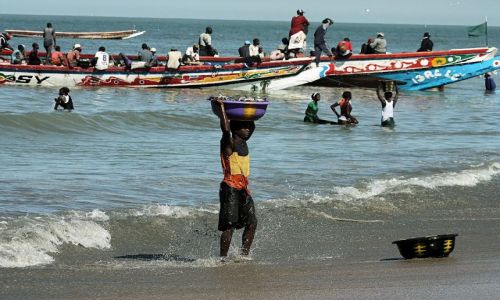 Zdjecie GAMBIA / - / okolica Bandul / pow ryb