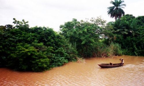 Zdjecie GAMBIA /   /   / Gambia River