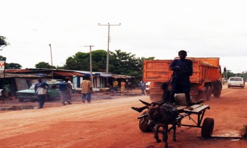 Zdjcie GAMBIA /   / Brikama / Codzienno
