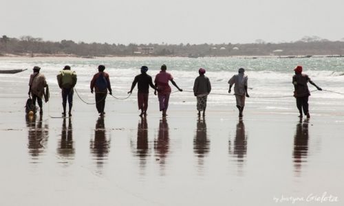 Zdjcie GAMBIA / Gambia / Gambia / African Road Trip - ludzie w Gambii