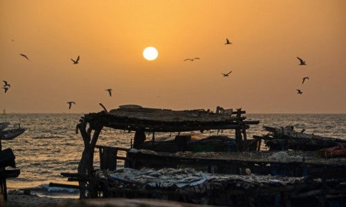 Zdjcie GAMBIA / - / Tanji / Tanji