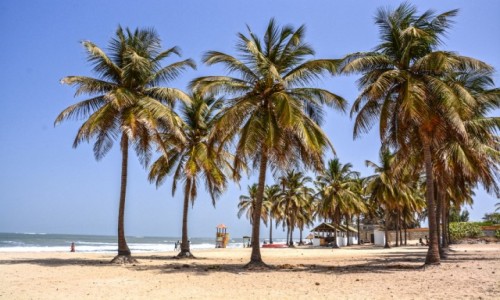 Zdjcie GAMBIA / - / Serrekunda / Serrekunda