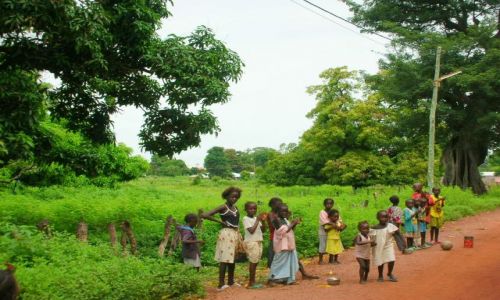 Zdjecie GAMBIA / brak / ALBREDA / dzieci z wioski
