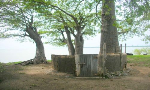 Zdjecie GAMBIA / brak / JAMES ISLAND / pamiatka po niewolnikach na wyspie