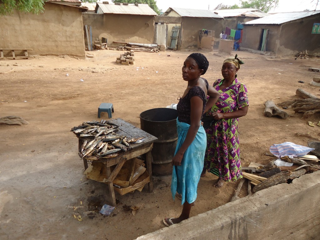 Zdjęcia: Bolgatanga, Upper East, Sprzedaż ryb, GHANA Zdjęcia: Bolgatanga, Upper East, Sprzedaż ryb, GHANA