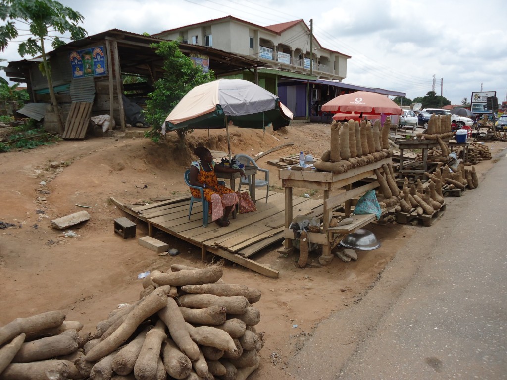 Zdjęcia: Ejisu, Ashanti, Afrykańskie kartofle, GHANA Zdjęcia: Ejisu, Ashanti, Afrykańskie kartofle, GHANA