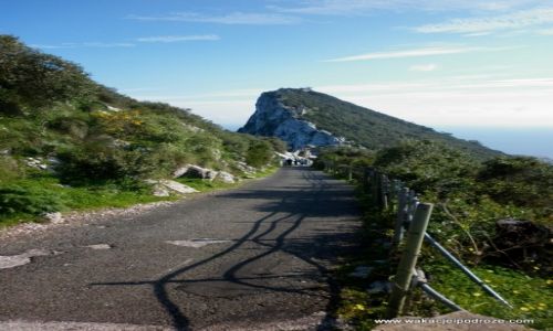 Zdjcie GIBRALTAR / Gibraltar / - / Ska gibraltarska