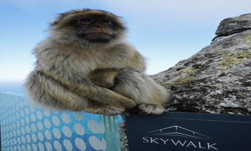 Zdjcie GIBRALTAR / . / . / Skywalker