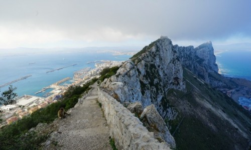Zdjcie GIBRALTAR / Skaa Gibraltarska  / . / Ta, ktra chwil pniej wskoczya mi na plecak