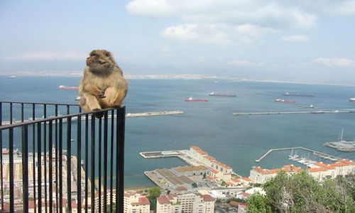 Zdjecie GIBRALTAR / brak / Skala The Rock / przyjemnie popatrzec z gory....
