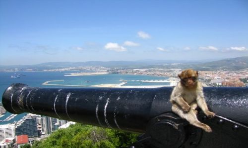 Zdjecie GIBRALTAR / . / Skała Gibraltalska / bezpieczne miejsce na odpoczynek
