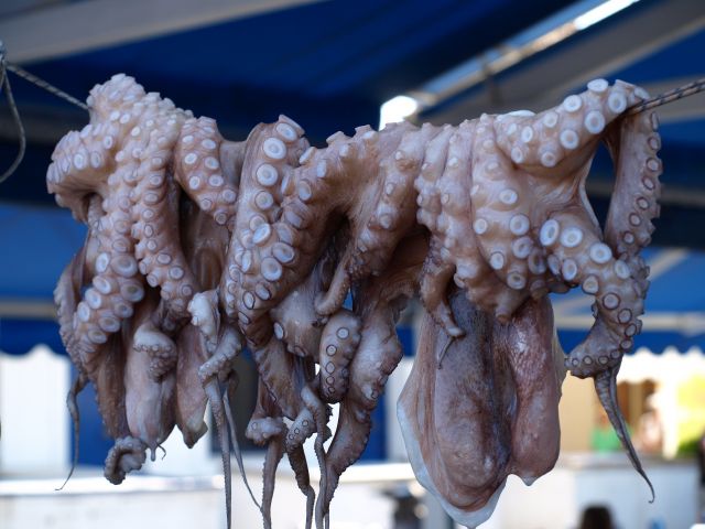 Zdjęcia: HYDRA, OŚMIORNICA, GRECJA Zdjęcia: HYDRA, OŚMIORNICA, GRECJA