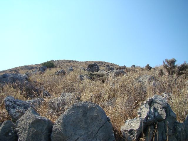 Zdjęcia: Kreta, Zapach tymianku, GRECJA Zdjęcia: Kreta, Zapach tymianku, GRECJA