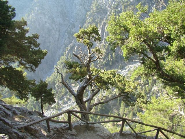 Zdjęcia: Kreta, Wąwóz Samaria, GRECJA Zdjęcia: Kreta, Wąwóz Samaria, GRECJA
