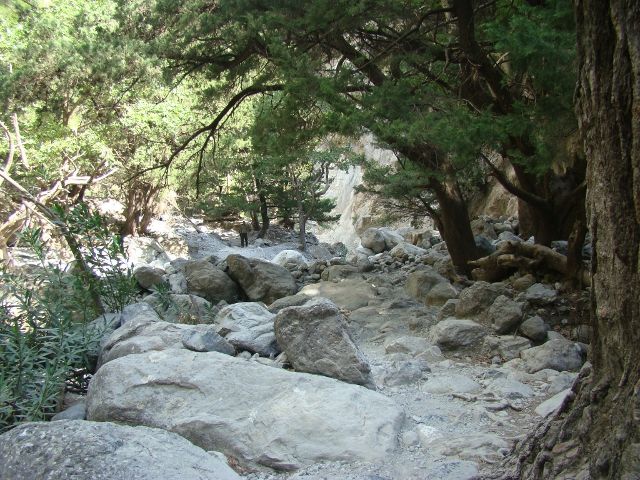 Zdjęcia: Kreta, Wąwóz Samaria, GRECJA Zdjęcia: Kreta, Wąwóz Samaria, GRECJA