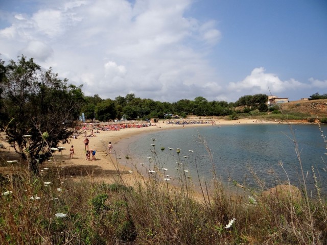 Zdj cia: Kato Daratso, okolice Chanii, Kreta, Lato, lato..., GRECJA