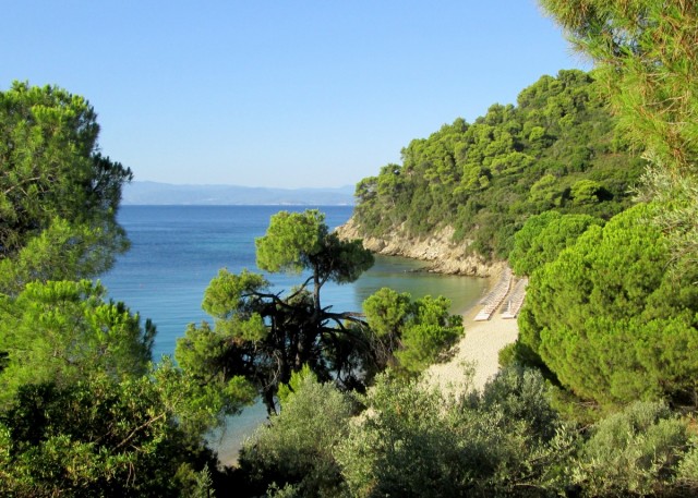 Zdj cia: Skiathos - okolice Koukounaries, Sporady Pnocne, ~Plaa Xenia, GRECJA