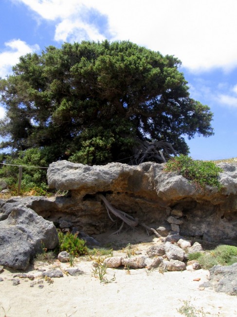 Zdj cia: Elafonisi, Kreta, * Otoczone linami, GRECJA