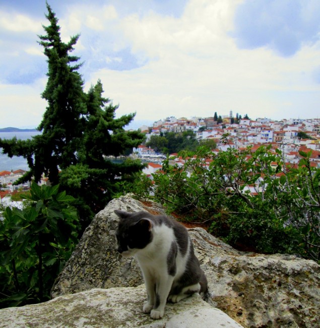 Zdj cia: Skiathos, Sporady Pnocne, ~Obserwator, GRECJA